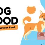 10 Ways to Improve Your Dog's Digestion & Gut Health