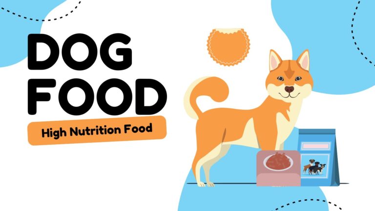 10 Ways to Improve Your Dog's Digestion & Gut Health