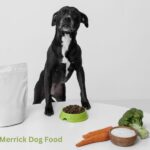 Merrick Dog Food